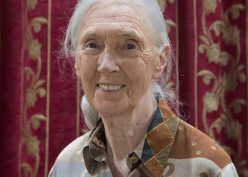 Jane Goodall