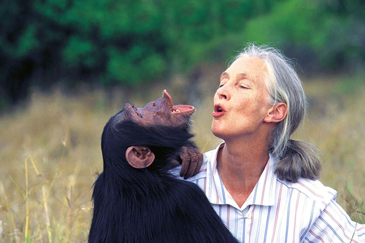 Dr. Jane Goodall