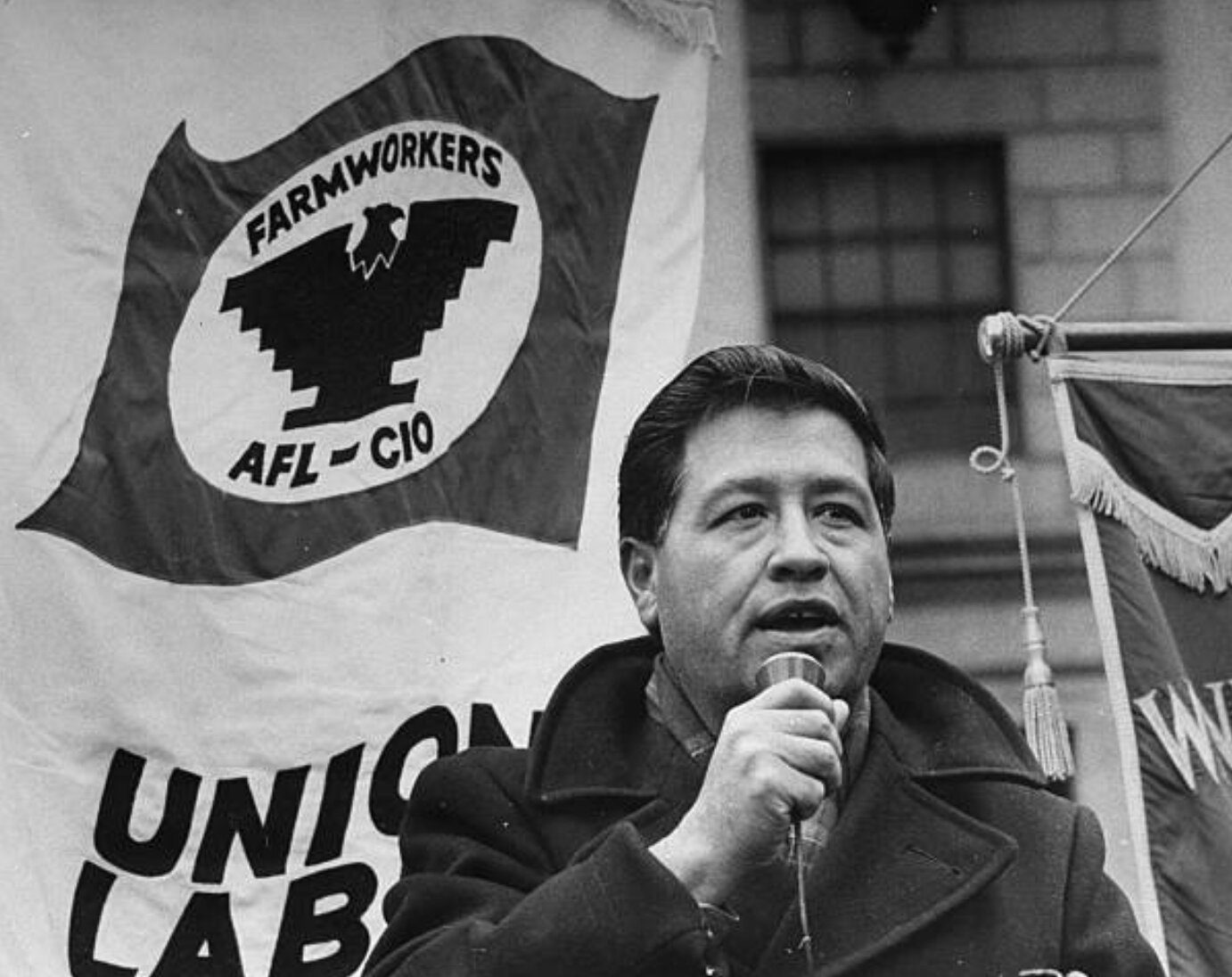 Cesar Chavez