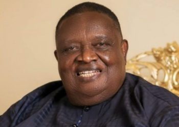 Chief Emmanuel Chukwuemeka Iwuanyanwu