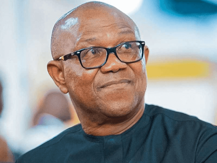 Peter Gregory Obi's biography