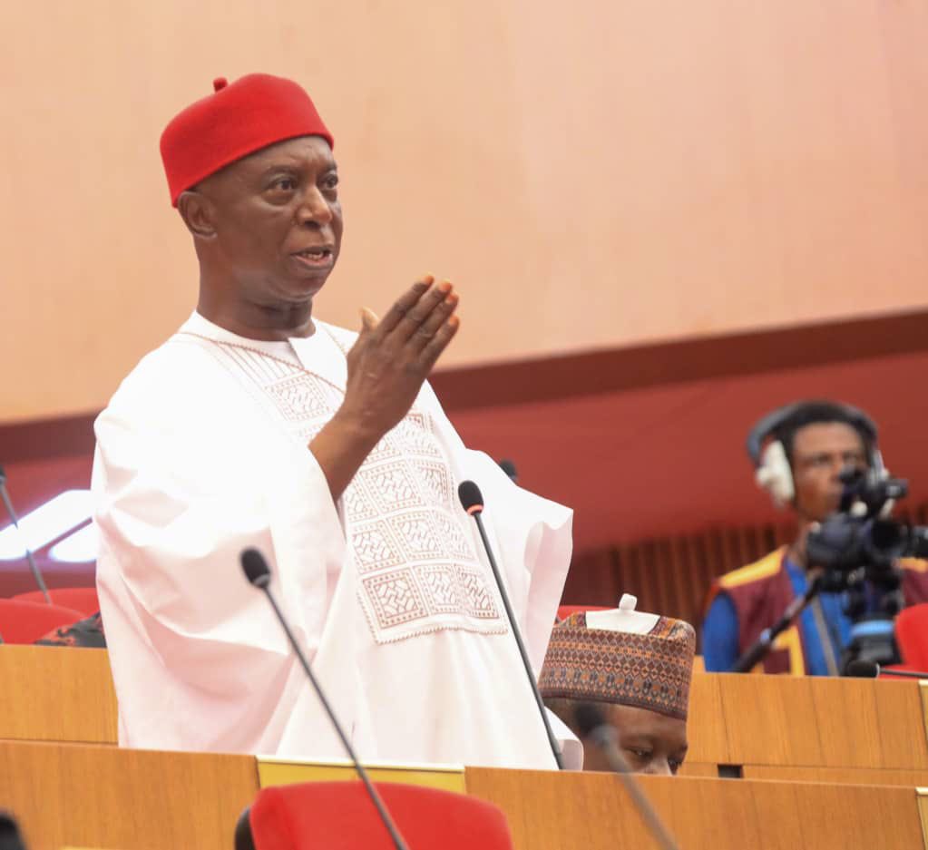 Senator Ned Nwoko Bio-Data 