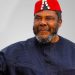 Pete Edochie's Biography