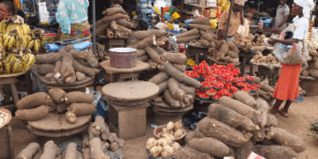 FAO Report