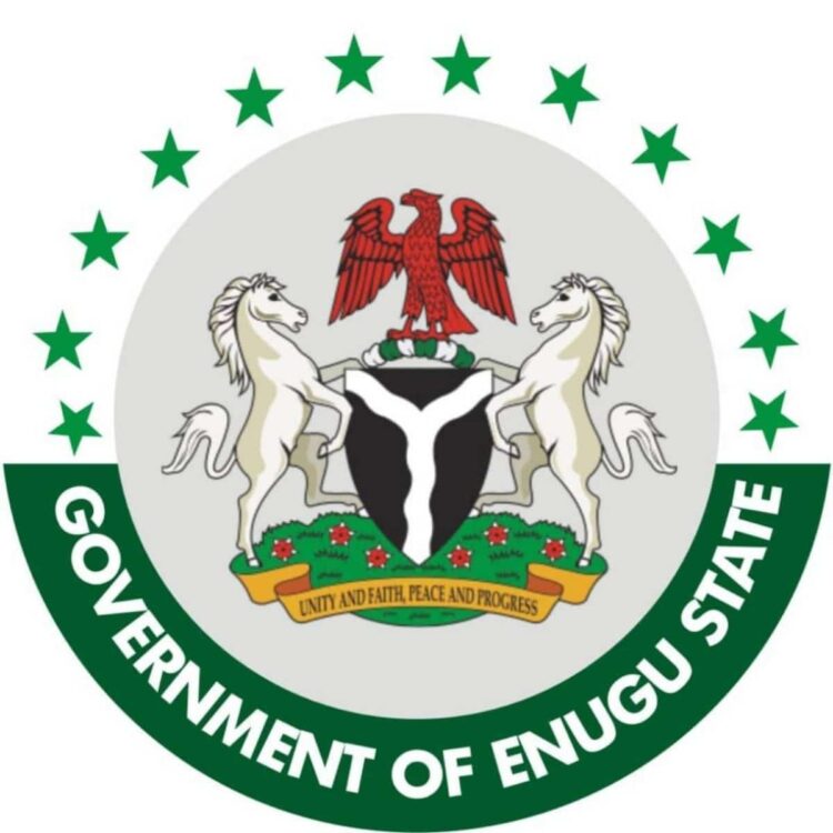 Enugu Government