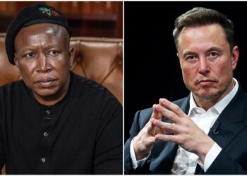 Julius Malema and Elon Musk