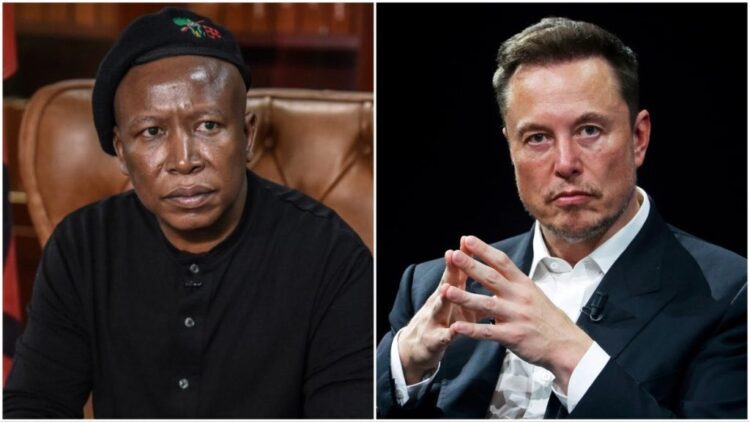 Julius Malema and Elon Musk