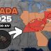 Cicadas 2025