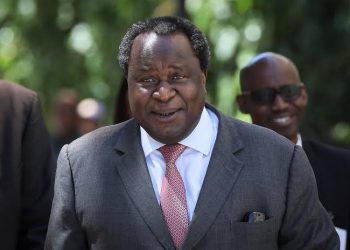 Tito Mboweni Biography