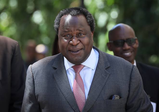 Tito Mboweni Biography