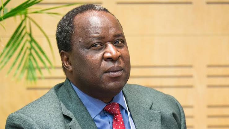 Tito Mboweni Biography