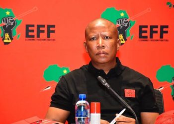 Julius Malema Biography