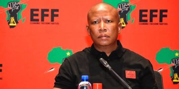 Julius Malema Biography