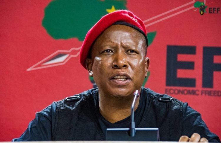 Julius Malema