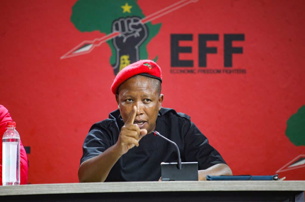 Julius Malema Biography
