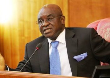 David Mark