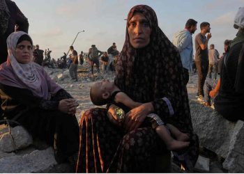 Gaza Reports (Photos)