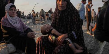 Gaza Reports (Photos)