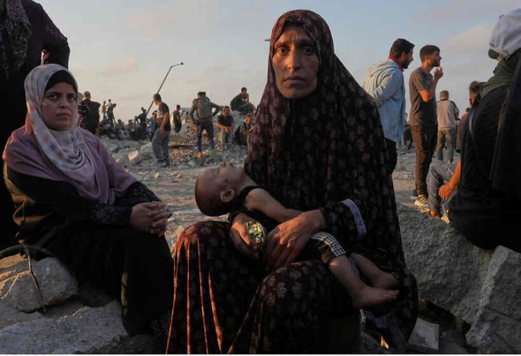 Gaza Reports (Photos)