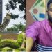 “OAU Mourns As Student Reportedly Commits Suicide After Failing Exams”