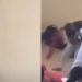 Viral Video Shows Fight Between Lecturer And Student At Niger Delta University