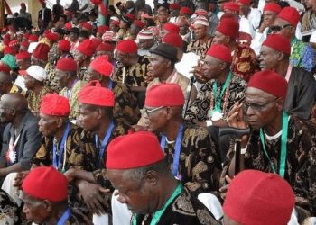 Igbo Leader, World Igbo Congress