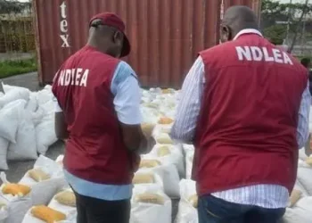 National Drug Law Enforcement Agency (NDLEA)