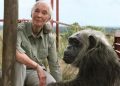 Jane Goodall, Pioneer Of Chimpanzee Research And Wildlife Advocacy, Dies At 91