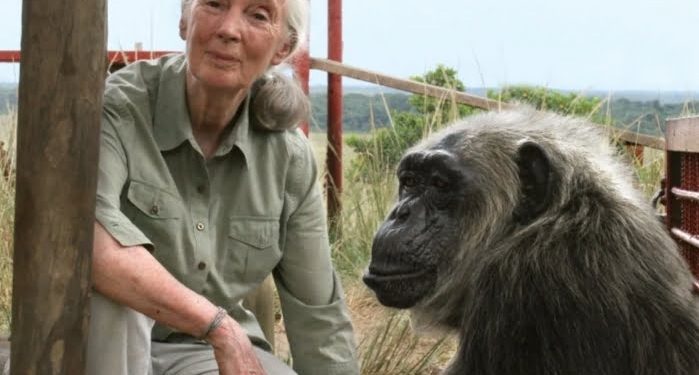 Screenshot 20251001 232024