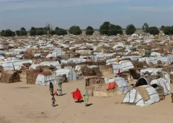 EU Donates €1.5m to Support Yelwata Attack Victims, IDPs in Nigeria